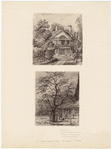 Image ID 805363