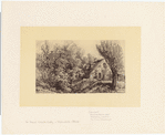 Image ID 805382