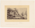 Image ID 805384