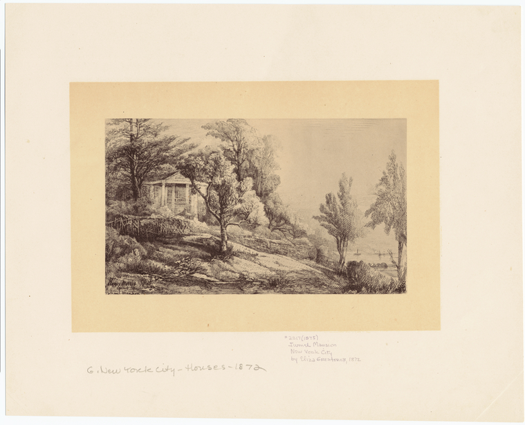 Image ID 805384
