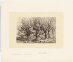 Image ID 805392