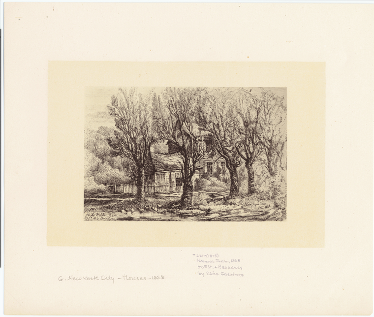 Image ID 805392
