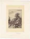 Image ID 805398