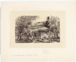 Image ID 805402