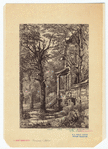Image ID 805418