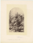 Image ID 805445