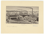 Image ID 805519