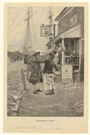 Image ID 805531
