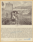 Image ID 805753
