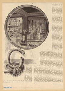 Image ID 805867