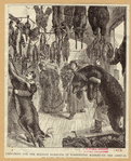 Image ID 805916