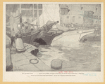 Image ID 805927