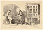 Image ID 805947