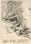Image ID 806161