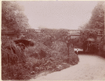 Image ID 806163