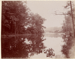 Image ID 806167