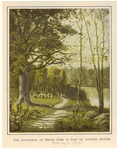 Image ID 806172