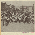 Image ID 806204