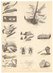 Image ID 806263