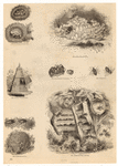 Image ID 806267