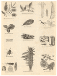 Image ID 806268