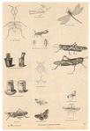 Image ID 806270