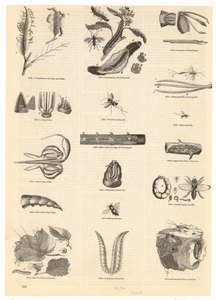 Image ID 806274