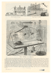 Image ID 806277