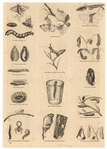 Image ID 806278