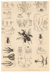 Image ID 806282
