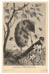 Image ID 806290