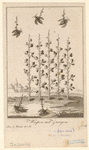 Image ID 806296