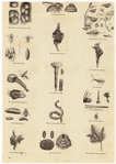 Image ID 806302