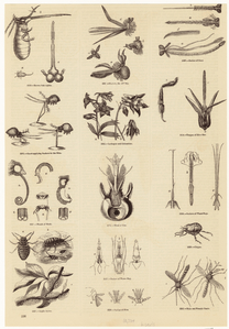 Image ID 806307