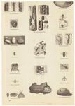 Image ID 806308