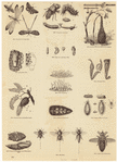 Image ID 806309