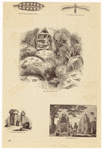 Image ID 806310