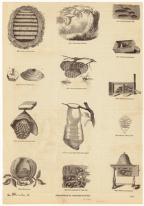 Image ID 806311
