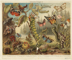 Image ID 806325