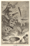 Image ID 806329