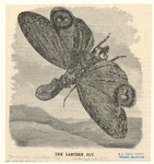 Image ID 806333