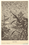 Image ID 806334