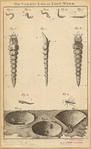Image ID 806337