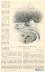 Image ID 806345
