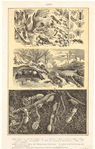 Image ID 806347