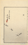Image ID 806348