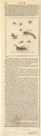 Image ID 806350