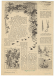 Image ID 806352