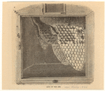 Image ID 806354