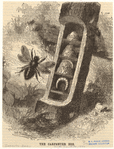 Image ID 806359